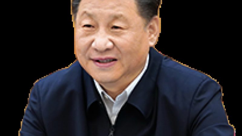 成都新材料厂家价格解析：揭秘影响价格的关键因素